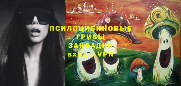 дживик Балахна