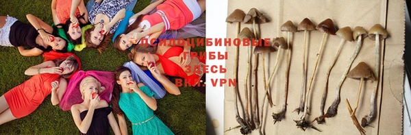 спиды Белокуриха