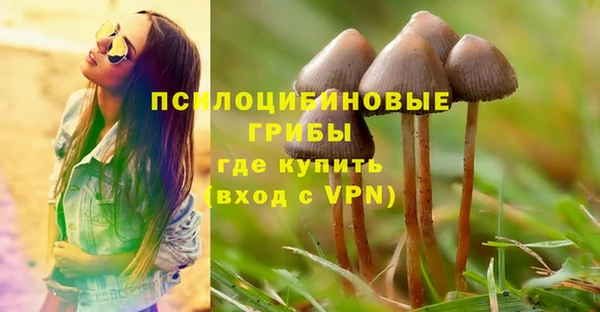 дживик Балахна