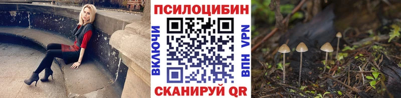 Псилоцибиновые грибы мухоморы  сколько стоит  Вязники 